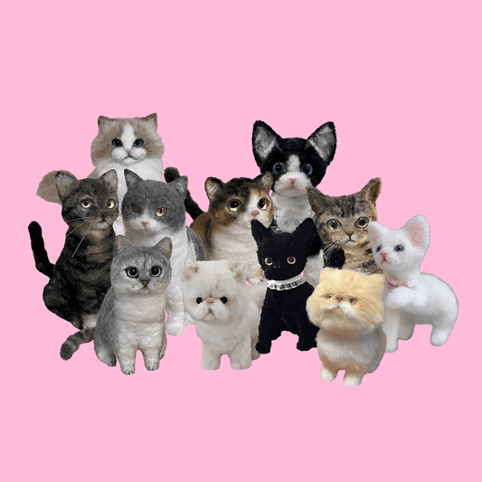 Twisto Cat Kit