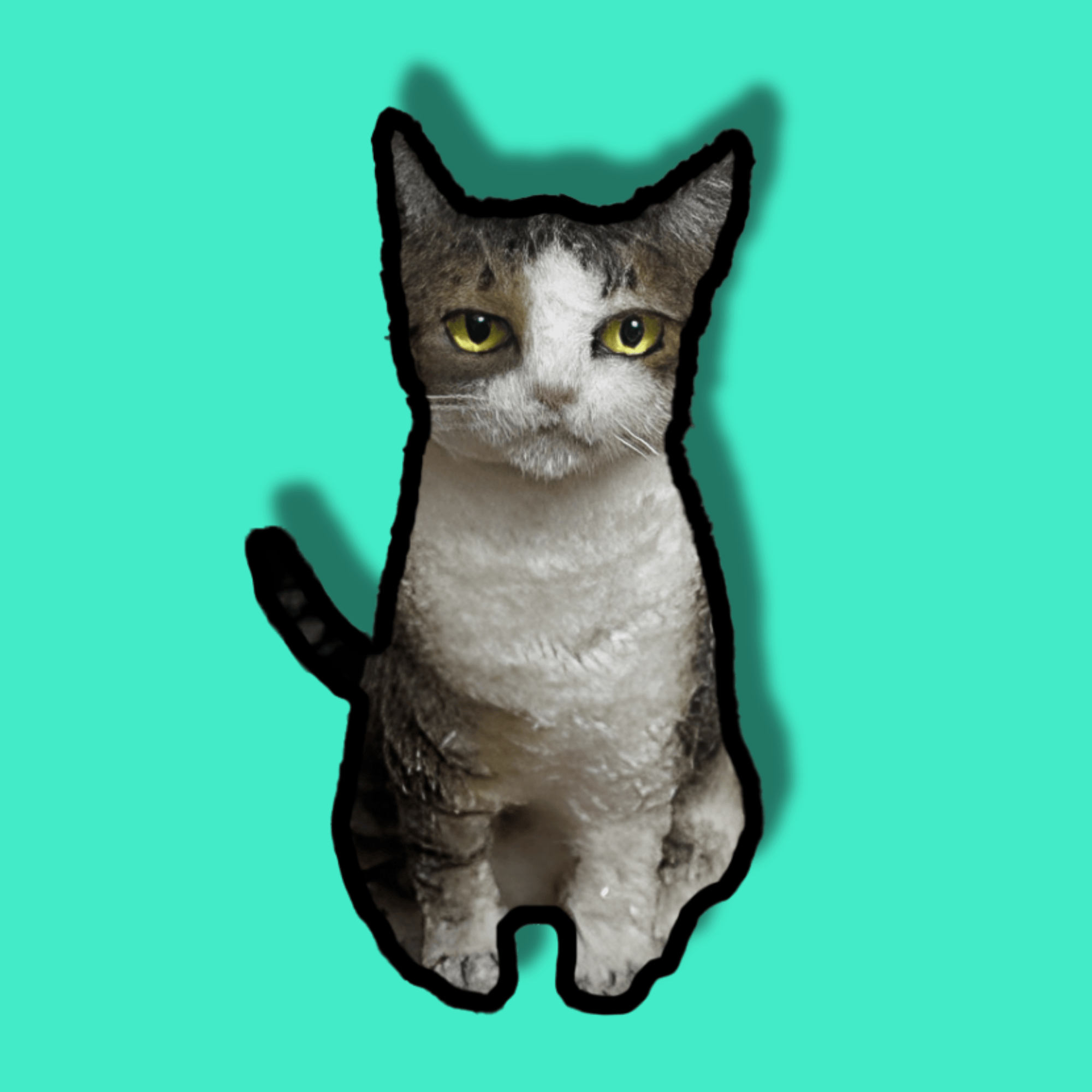 Twisto Cat Kit