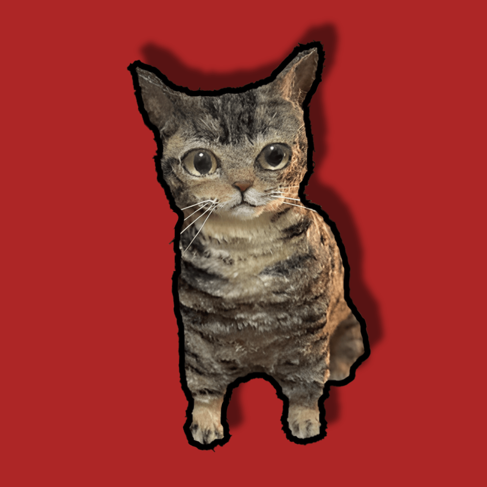 Twisto Cat Kit